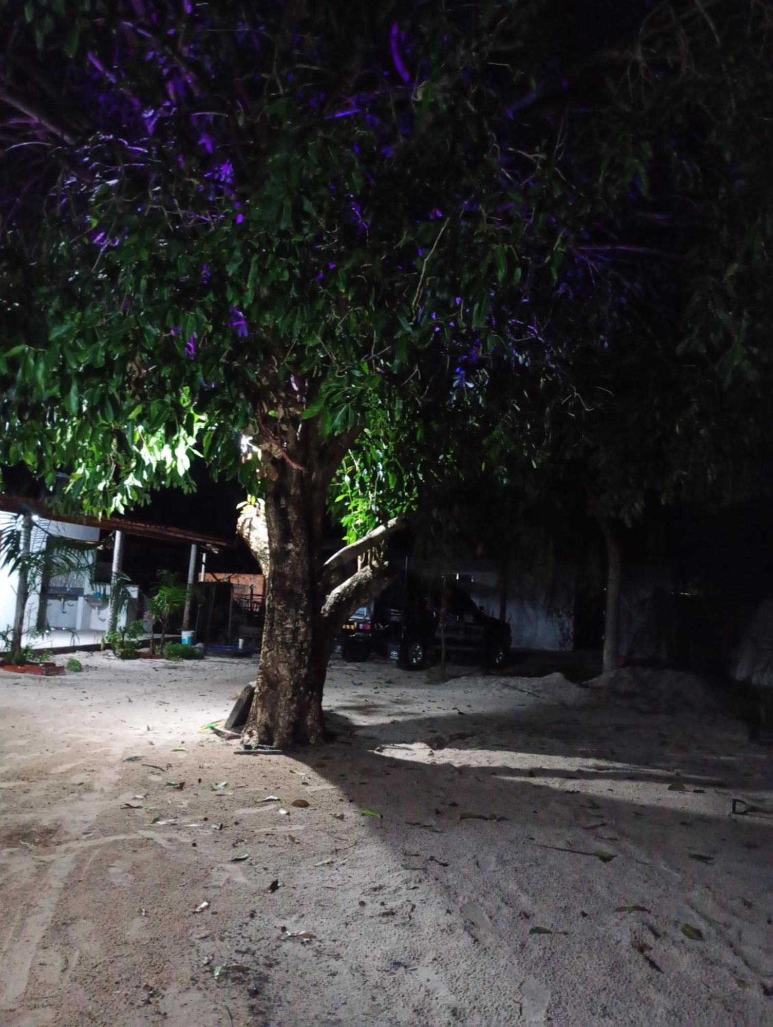 Hostel E Camping Na Rua Das Flores Santo Amaro do Maranhao المظهر الخارجي الصورة