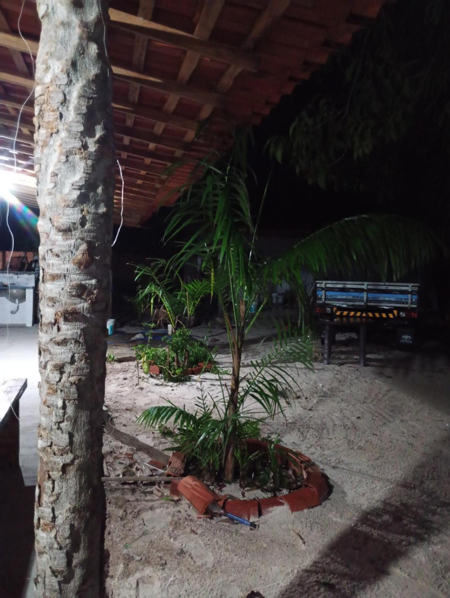 Hostel E Camping Na Rua Das Flores Santo Amaro do Maranhao المظهر الخارجي الصورة