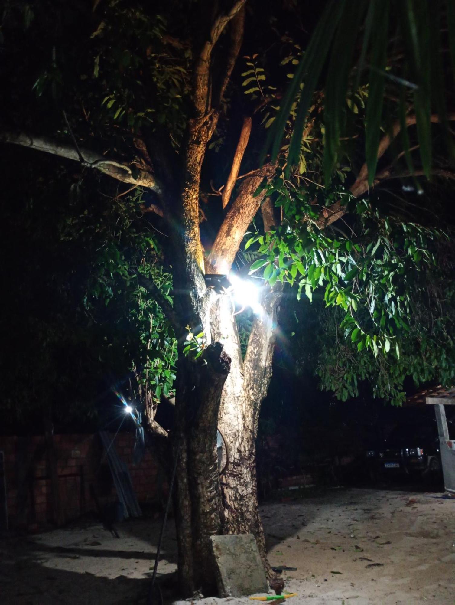 Hostel E Camping Na Rua Das Flores Santo Amaro do Maranhao المظهر الخارجي الصورة