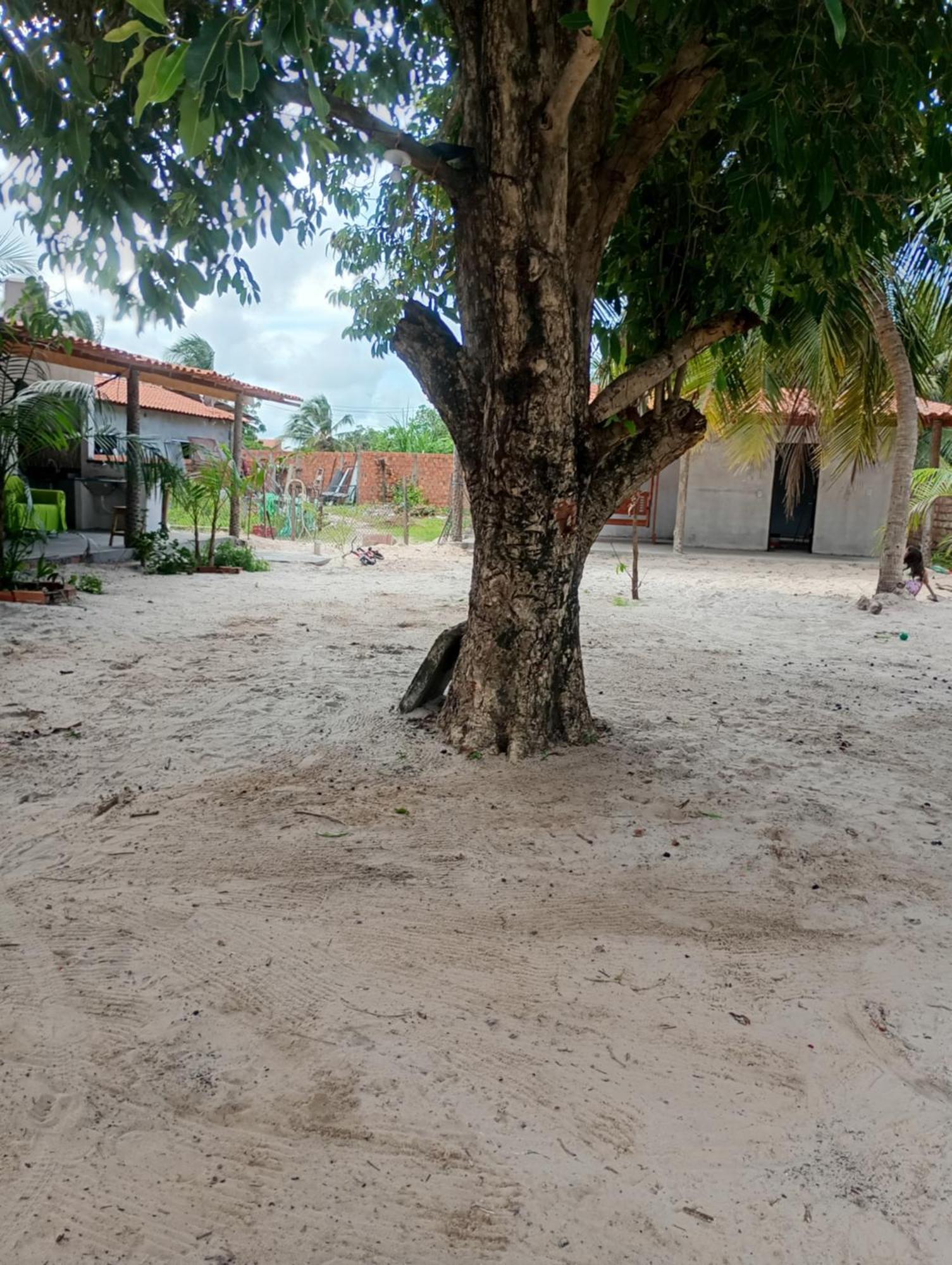 Hostel E Camping Na Rua Das Flores Santo Amaro do Maranhao المظهر الخارجي الصورة